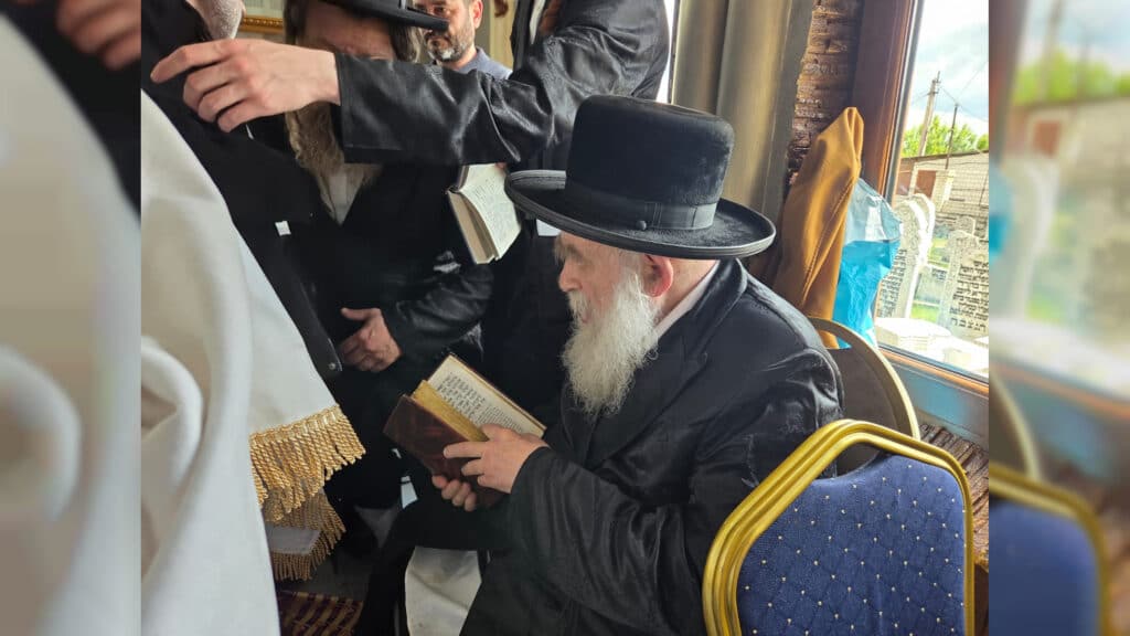 שבועות במעזיבוז': מאות חגגו מתן תורה בציון הבעל שם טוב