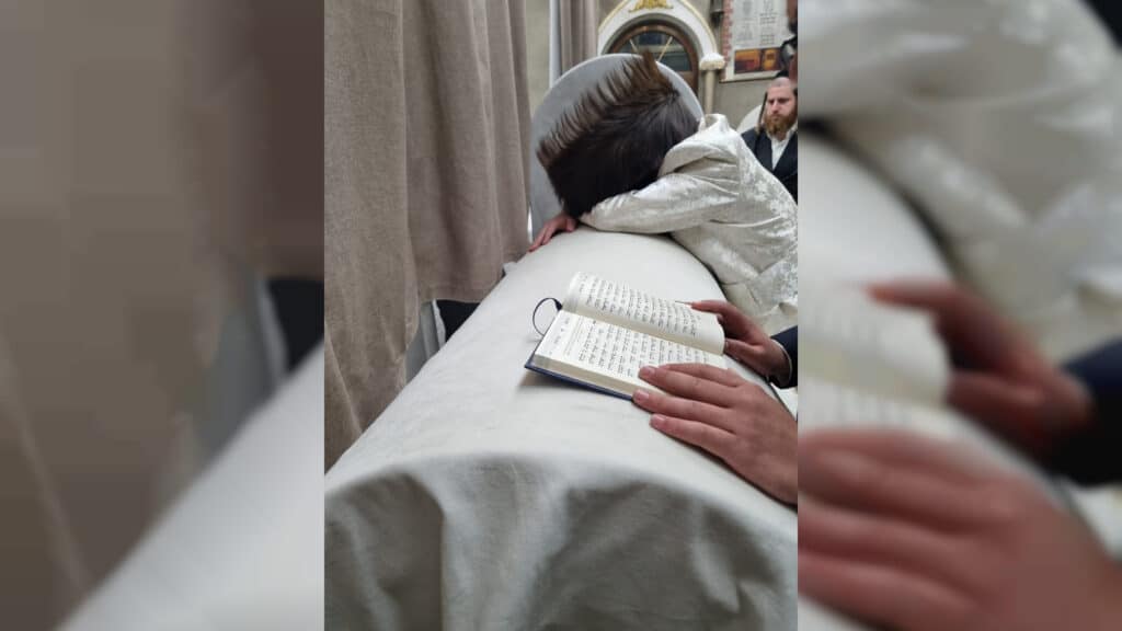 שבועות במעזיבוז': מאות חגגו מתן תורה בציון הבעל שם טוב