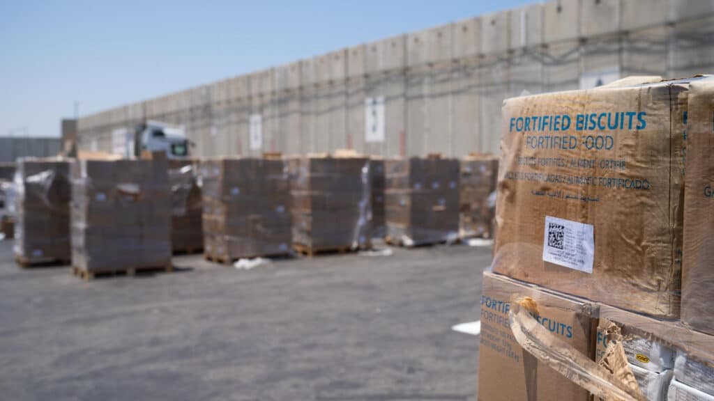 דובר צה"ל: "ישראל תומכת בסיוע לתושבי הרצועה לא לחמאס"