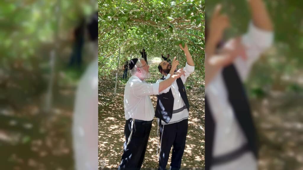 המשב"ק: כסאות הפלא בסקווירא והפגישה החשאית בסלונים המשב"ק: כסאות הפלא בסקווירא והפגישה החשאית בסלונים