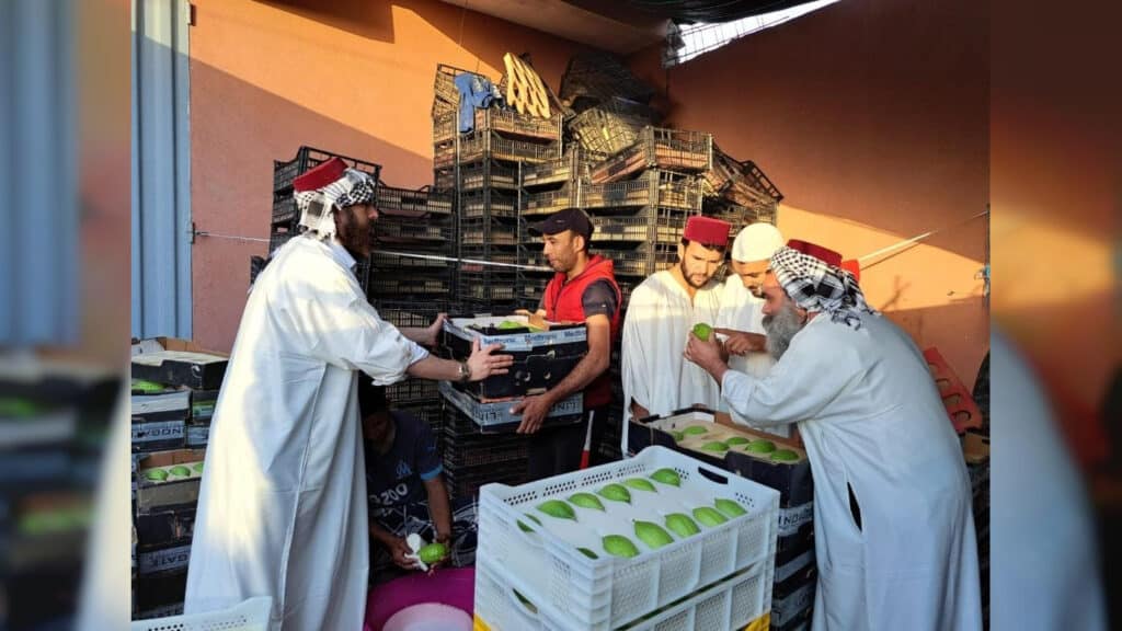 המשב"ק: כסאות הפלא בסקווירא והפגישה החשאית בסלונים המשב"ק: כסאות הפלא בסקווירא והפגישה החשאית בסלונים