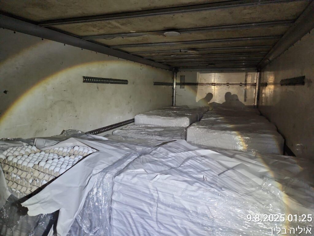 משאית עם מעל 100,000 ביצים נתפסה בואדי ערה