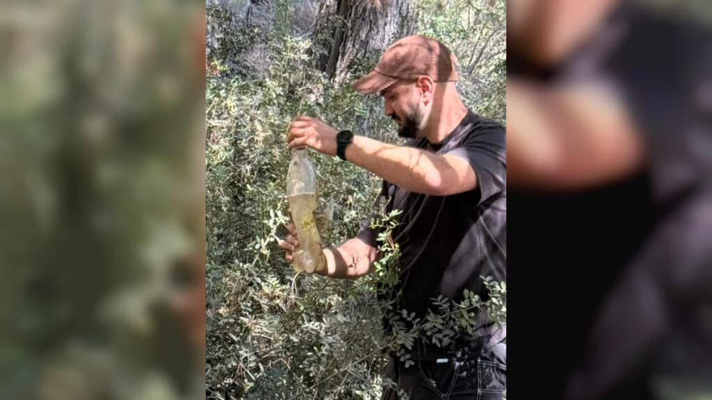 המשטרה איתרה עשרות צמיגים, פתיל הצתה ובקבוק תבערה המשטרה איתרה עשרות צמיגים, פתיל הצתה ובקבוק תבערה