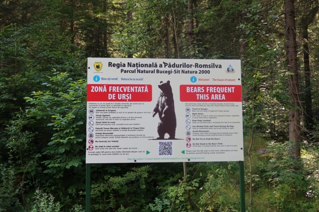 המחנה השנתי של 'חיים לילד' התקיים לראשונה ברומניה: "חיים לילד נתנו לנו - חולי הריאה והמושתלים – חמצן ומרפא לגוף ולנפש"