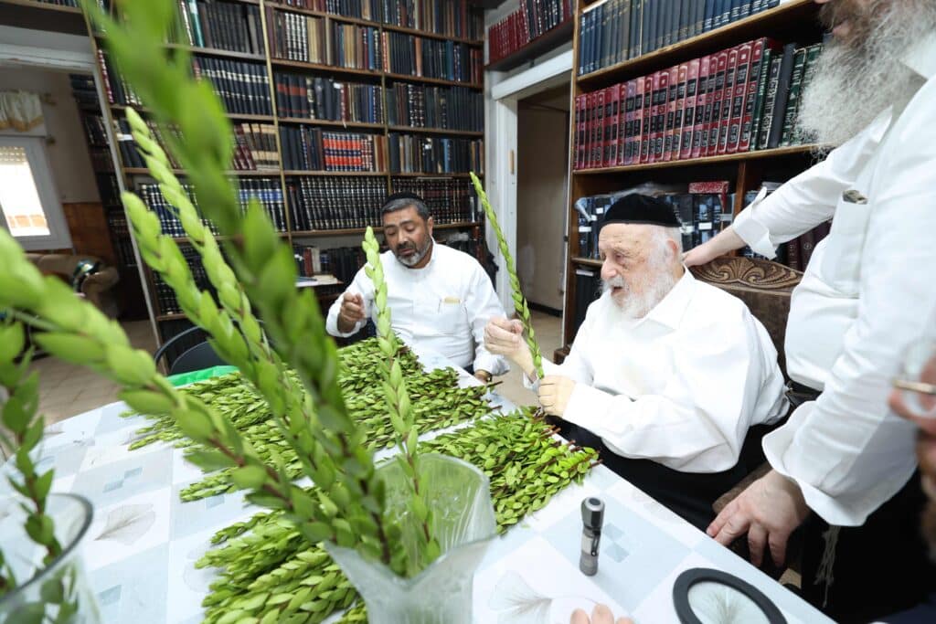 בערב שבת שובה: ראש הישיבה בבחירת ארבעת המינים