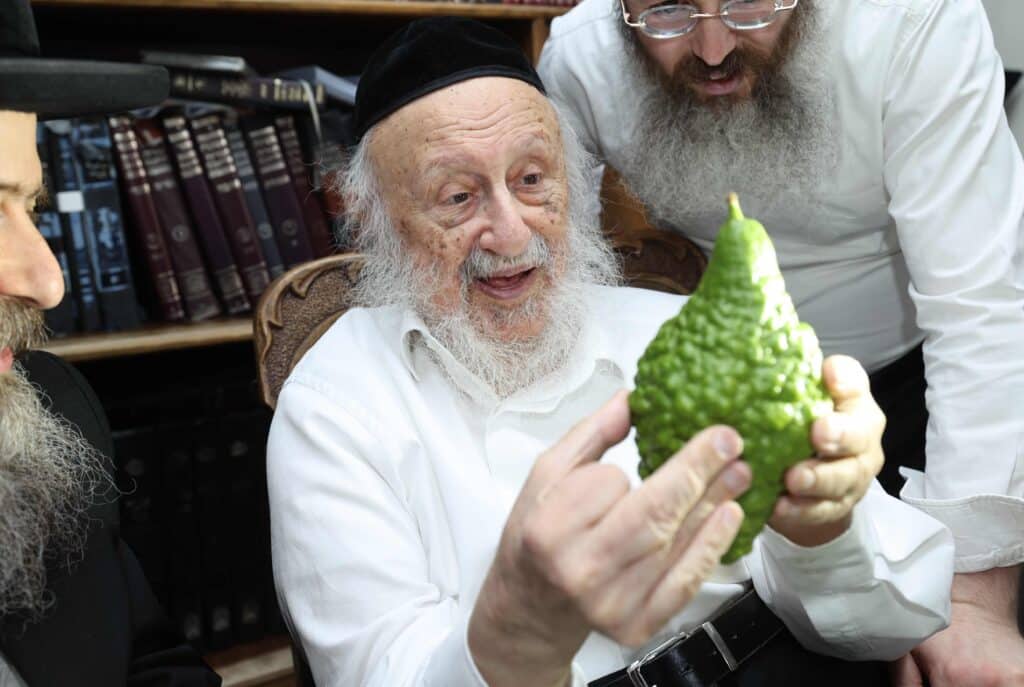 בערב שבת שובה: ראש הישיבה בבחירת ארבעת המינים