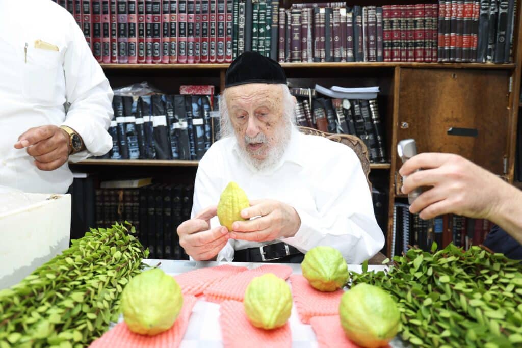בערב שבת שובה: ראש הישיבה בבחירת ארבעת המינים