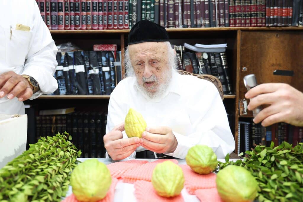 בערב שבת שובה: ראש הישיבה בבחירת ארבעת המינים