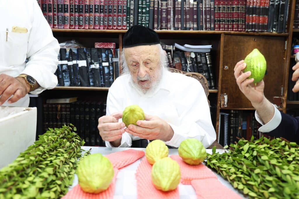 בערב שבת שובה: ראש הישיבה בבחירת ארבעת המינים