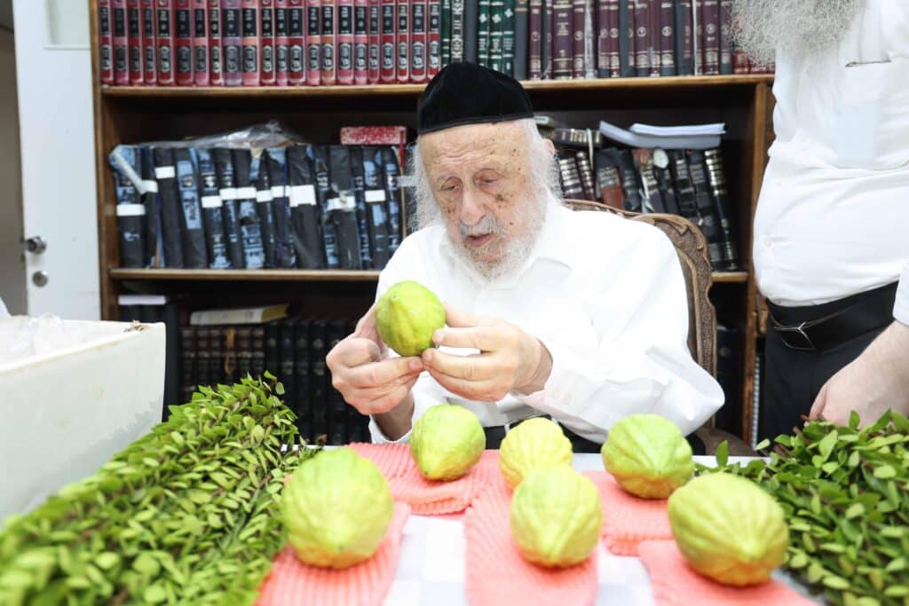 בערב שבת שובה: ראש הישיבה בבחירת ארבעת המינים