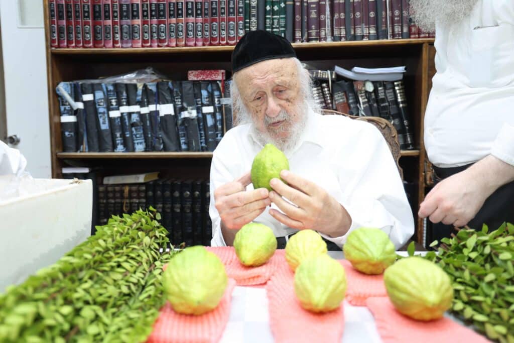 בערב שבת שובה: ראש הישיבה בבחירת ארבעת המינים