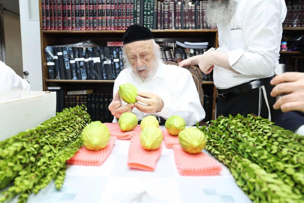 בערב שבת שובה: ראש הישיבה בבחירת ארבעת המינים