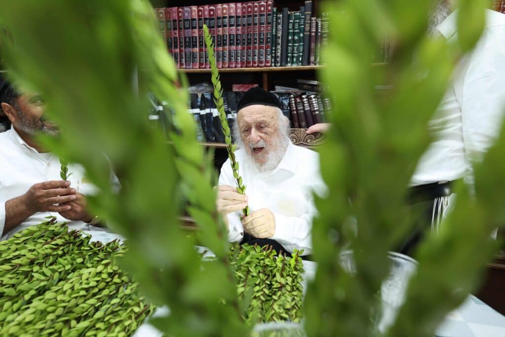 בערב שבת שובה: ראש הישיבה בבחירת ארבעת המינים