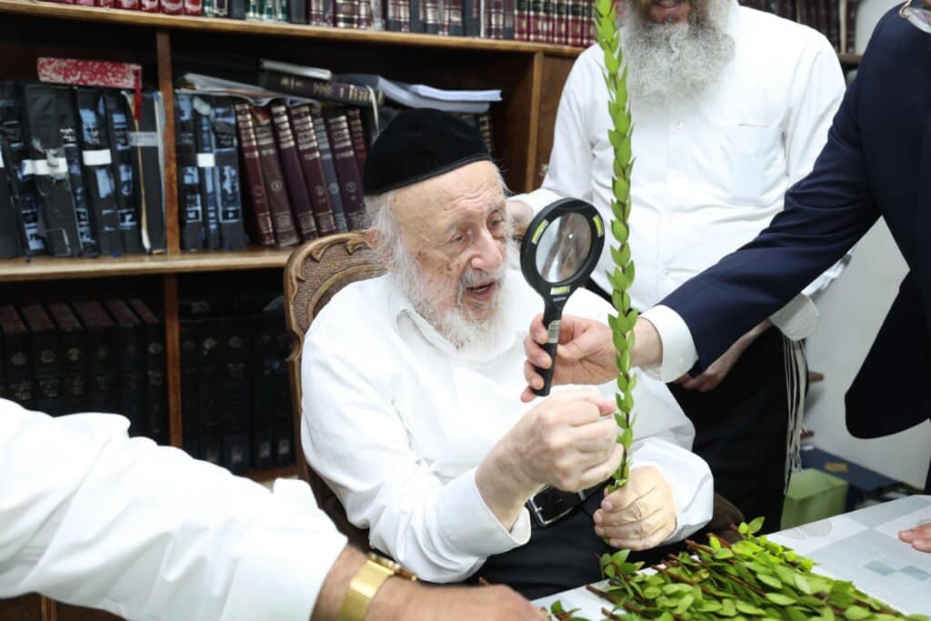 בערב שבת שובה: ראש הישיבה בבחירת ארבעת המינים