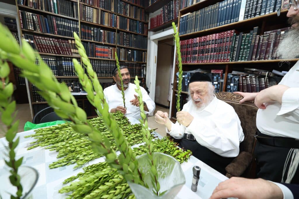 בערב שבת שובה: ראש הישיבה בבחירת ארבעת המינים