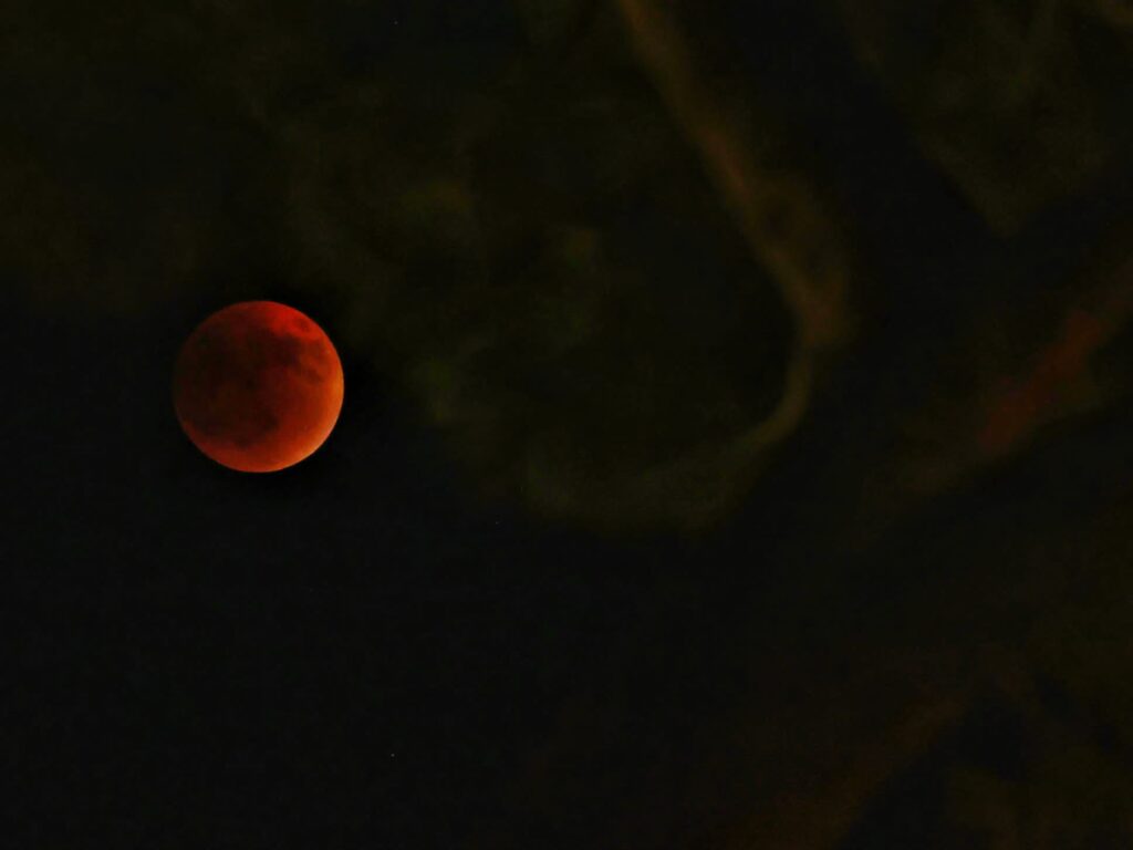 צאו לחלון: כך נראה ליקוי הלבנה מעדשת הצלמים