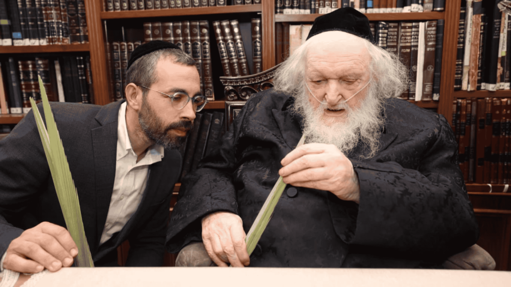 גדולי ישראל התרשמו מלולבי רוסרוף המהודרים והייחודיים