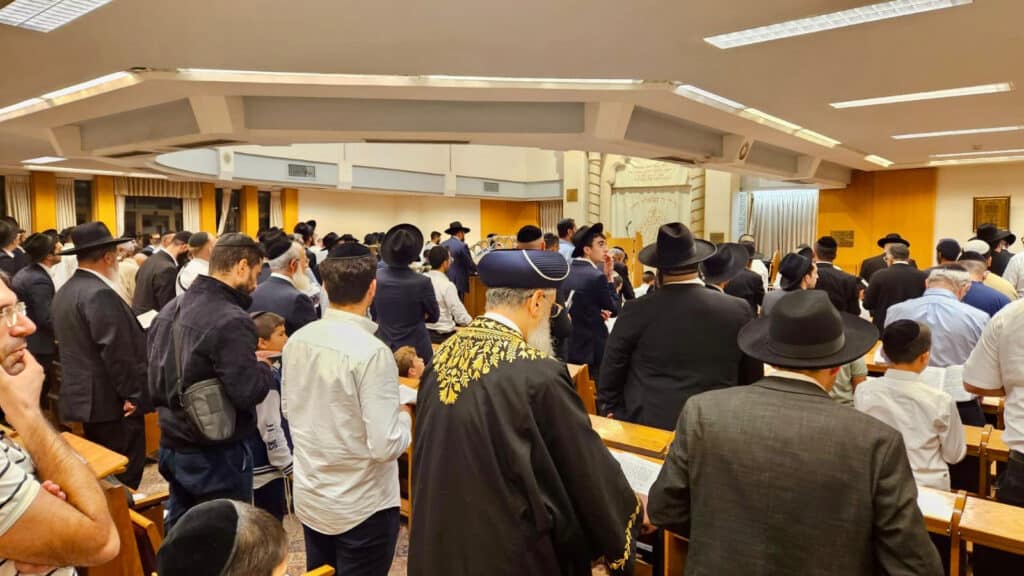 המשב"ק: דרמה בעולם החסידות והרכב של חבר המועצת המשב"ק: דרמה בעולם החסידות והרכב של חבר המועצת