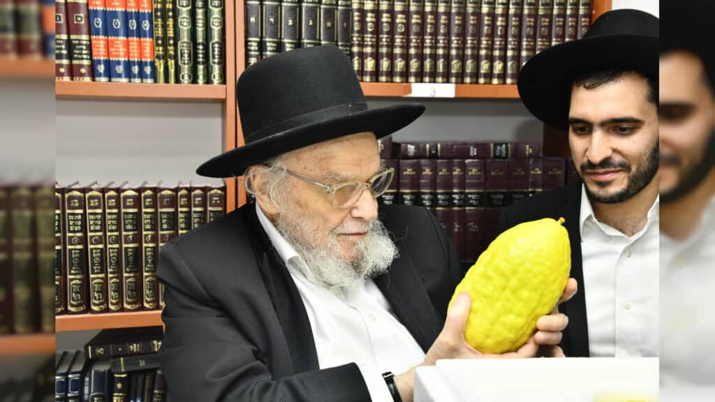 המשב"ק: השיעורים הגדולים בתבל והמקובל בקניות כאחד האדם