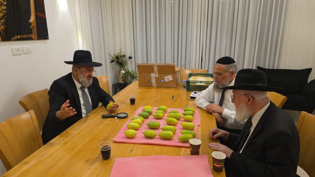 המשב"ק: השיעורים הגדולים בתבל והמקובל בקניות כאחד האדם