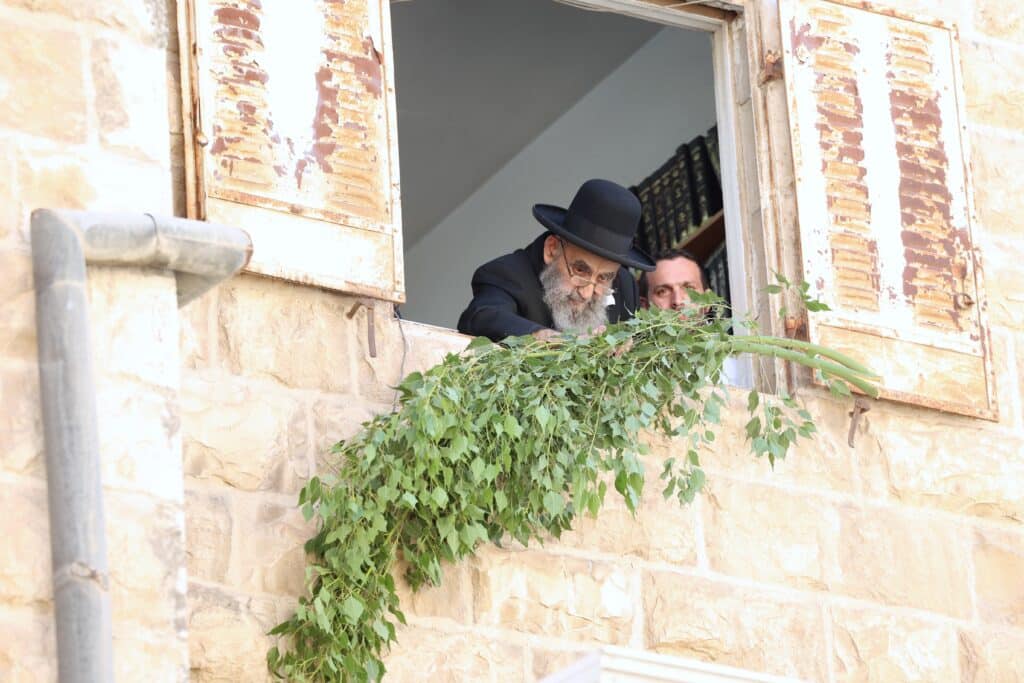 תיעוד: מרן ראש הישיבה הגר"מ צדקה מסכך את סוכתו