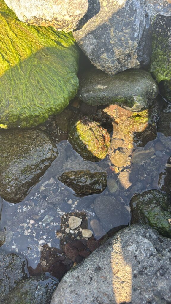 פיצוץ נשמע בכינרת בעקבות פריט אמל"ח שאותר במים