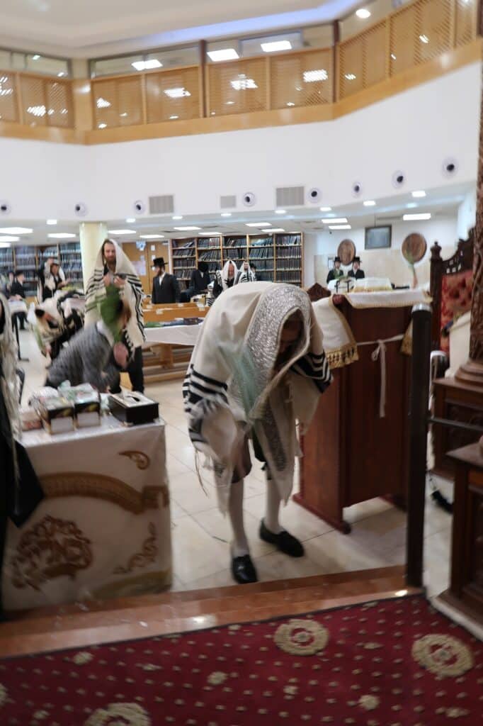 ירח האיתנים בחצר הקודש קאליב