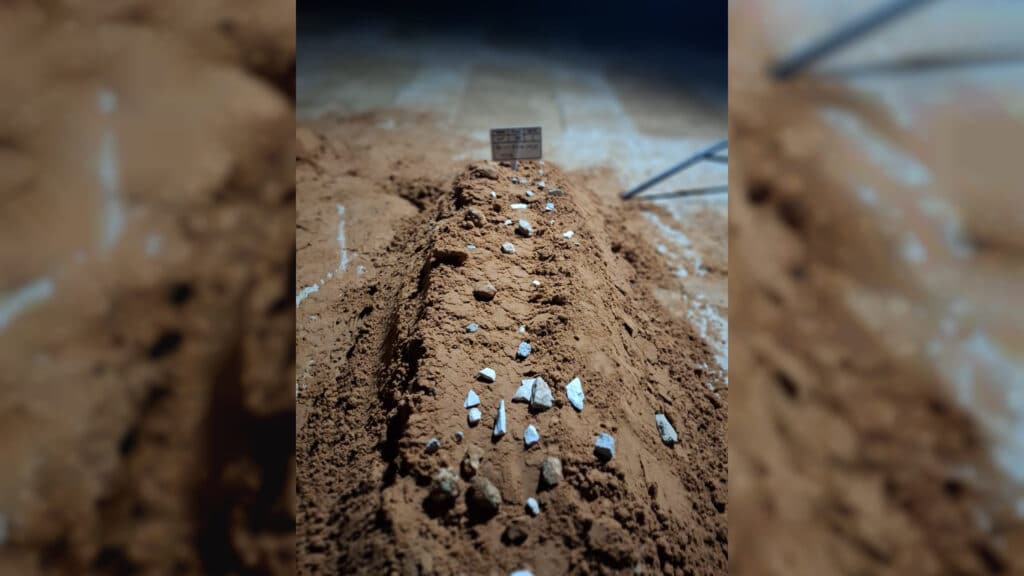 מחבר הספרים: הגאון רבי מנחם אריה שלזינגר זצ"ל