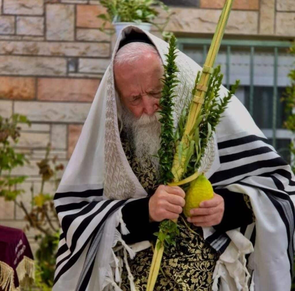 חגי תשרי אצל הגאון הרב יצחק דוד גרוסמן - צפו בגלריה