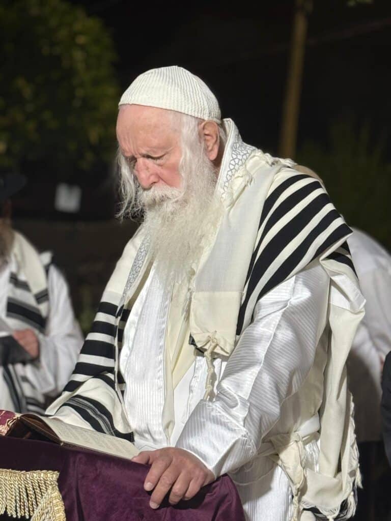 חגי תשרי אצל הגאון הרב יצחק דוד גרוסמן - צפו בגלריה