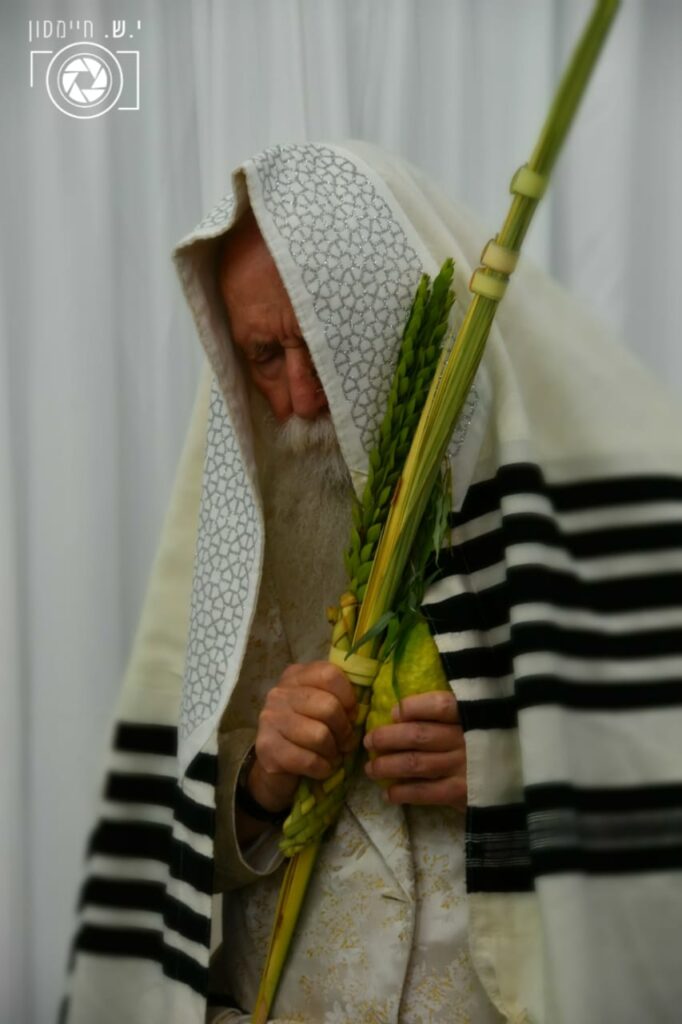 חגי תשרי אצל הגאון הרב יצחק דוד גרוסמן - צפו בגלריה