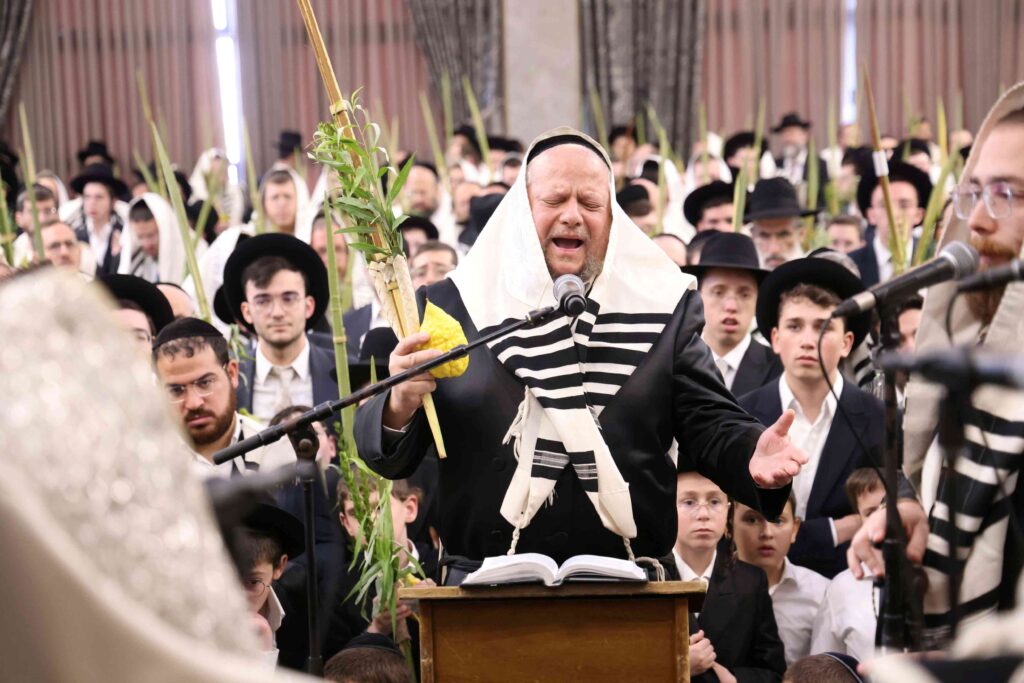 תיעוד חגיגי: מאות כהנים נשאו את כפיהם ברמת שלמה