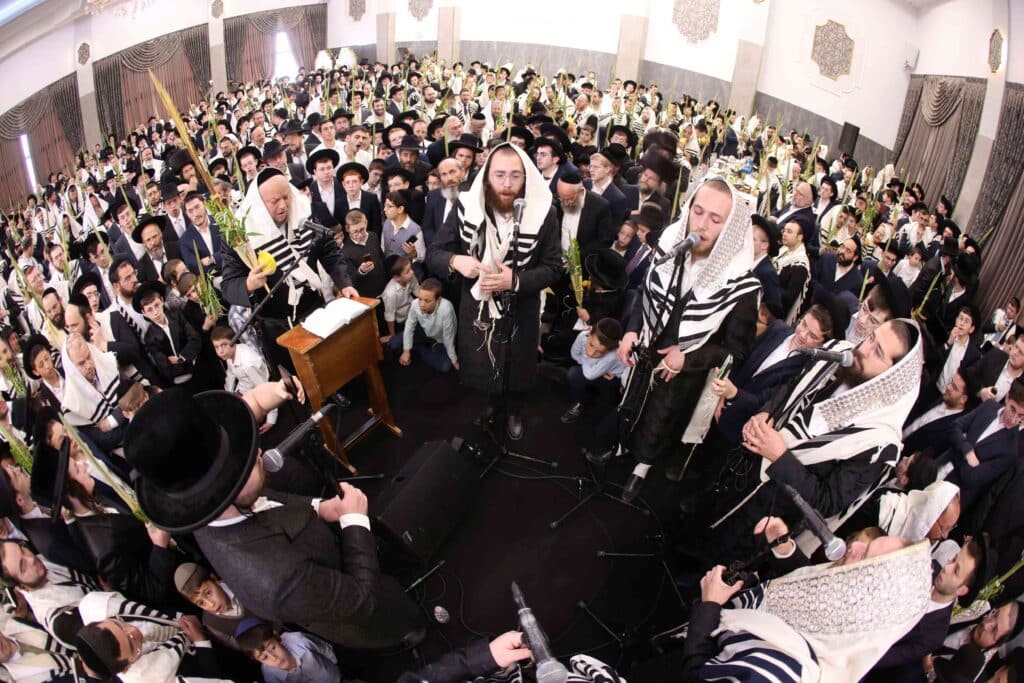 תיעוד חגיגי: מאות כהנים נשאו את כפיהם ברמת שלמה