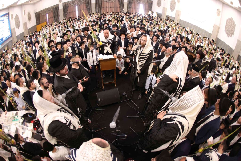 תיעוד חגיגי: מאות כהנים נשאו את כפיהם ברמת שלמה