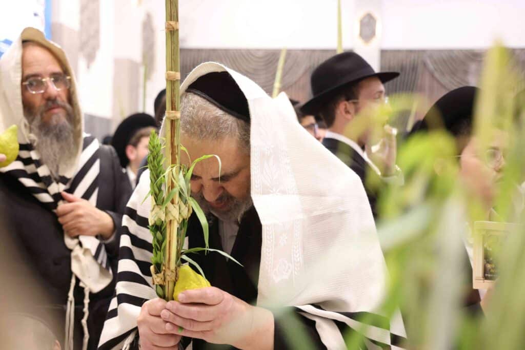 תיעוד חגיגי: מאות כהנים נשאו את כפיהם ברמת שלמה