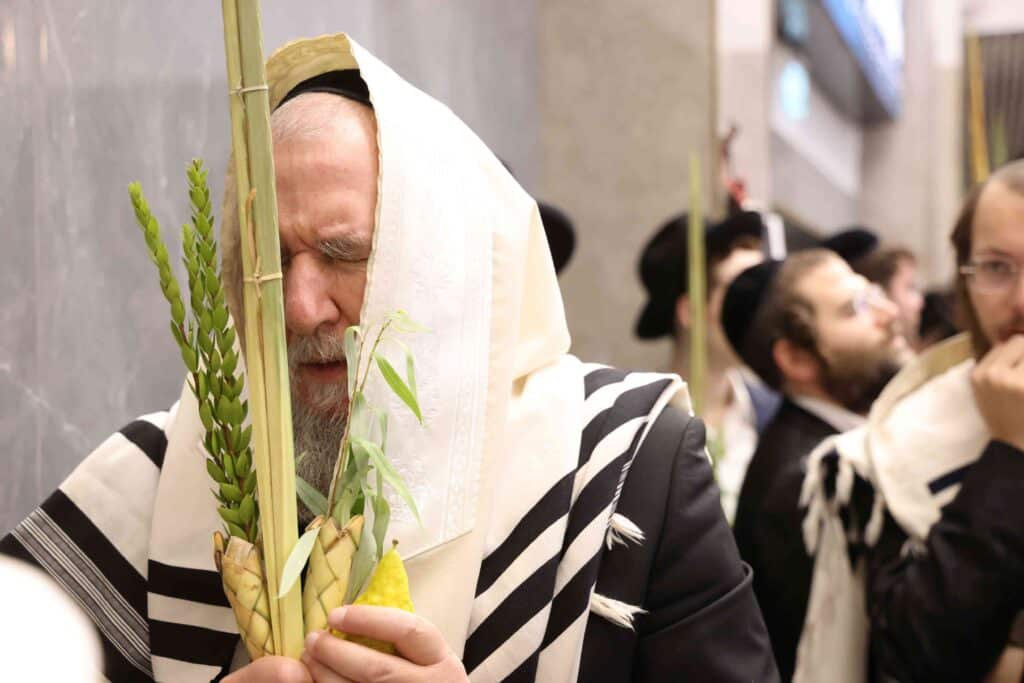 תיעוד חגיגי: מאות כהנים נשאו את כפיהם ברמת שלמה