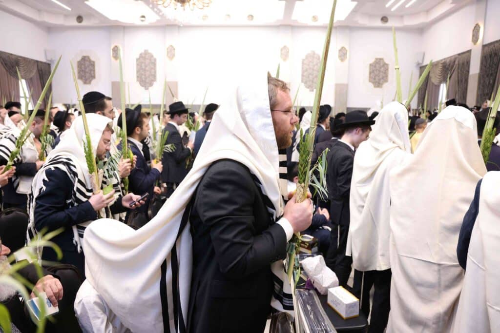 תיעוד חגיגי: מאות כהנים נשאו את כפיהם ברמת שלמה