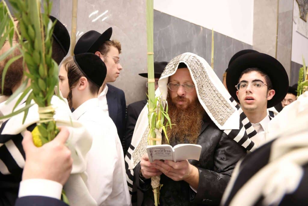 תיעוד חגיגי: מאות כהנים נשאו את כפיהם ברמת שלמה