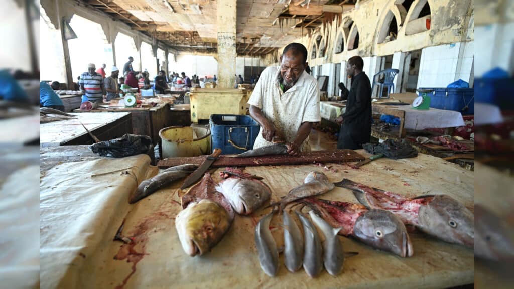 הצלם שחצה 130 גבולות: מהזמנה לדאעש ועד לצפון קוריאה