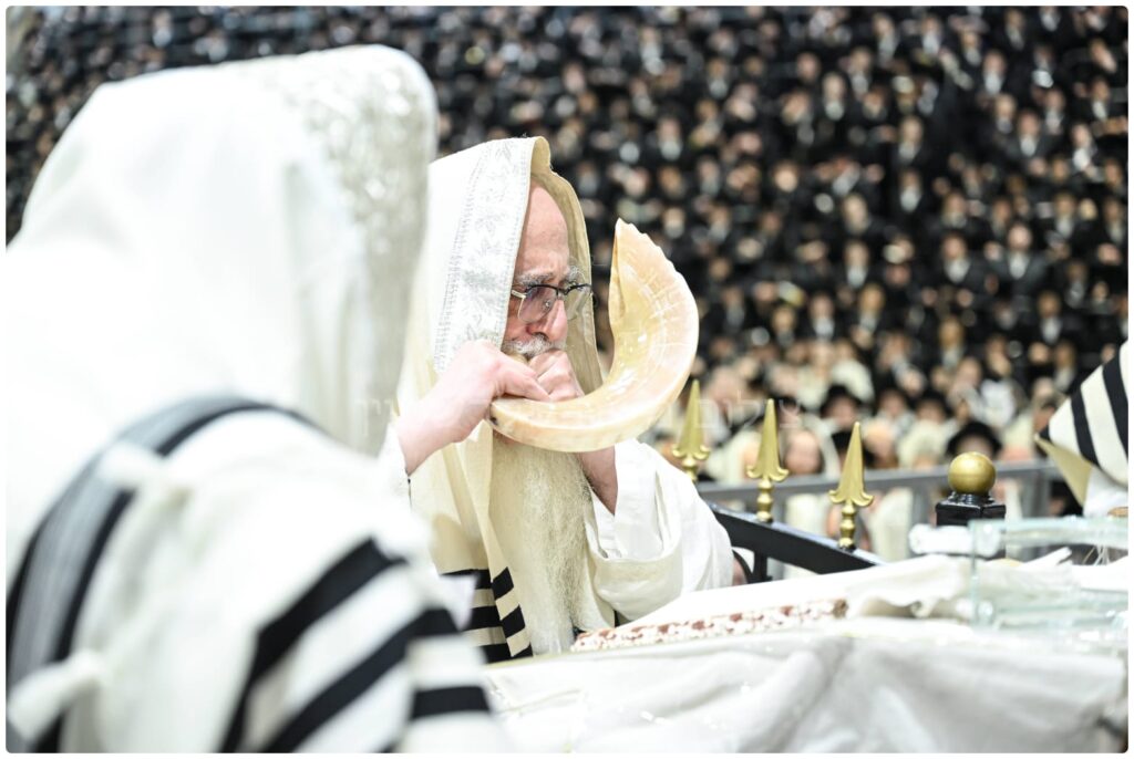 חסידים ואנשי מעשה: האנשים החזקים בחצרות האדמו"רים