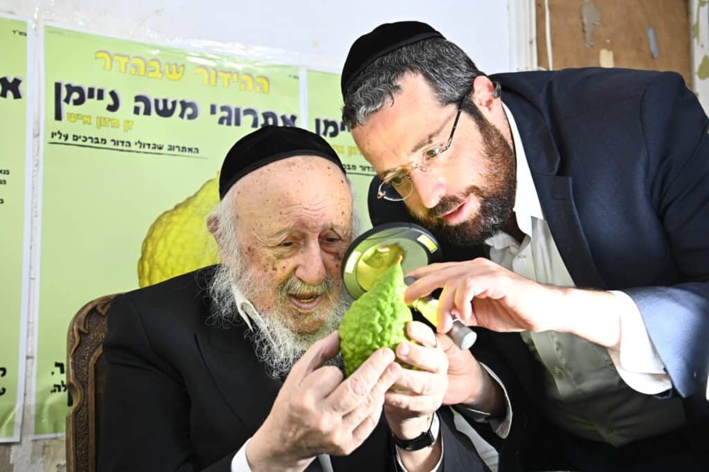 אנשי הצללים נחשפים: המשב"קים החברותות ונאמני הבית