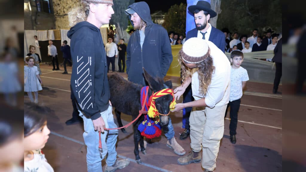 מעמד פדיון פטר חמור בקהילת חניכי הישיבות