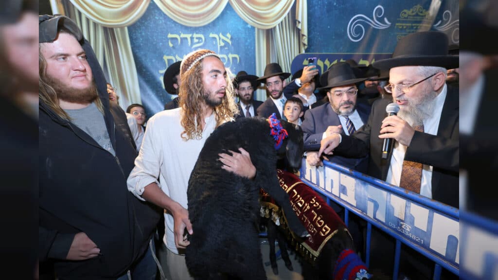 מעמד פדיון פטר חמור בקהילת חניכי הישיבות