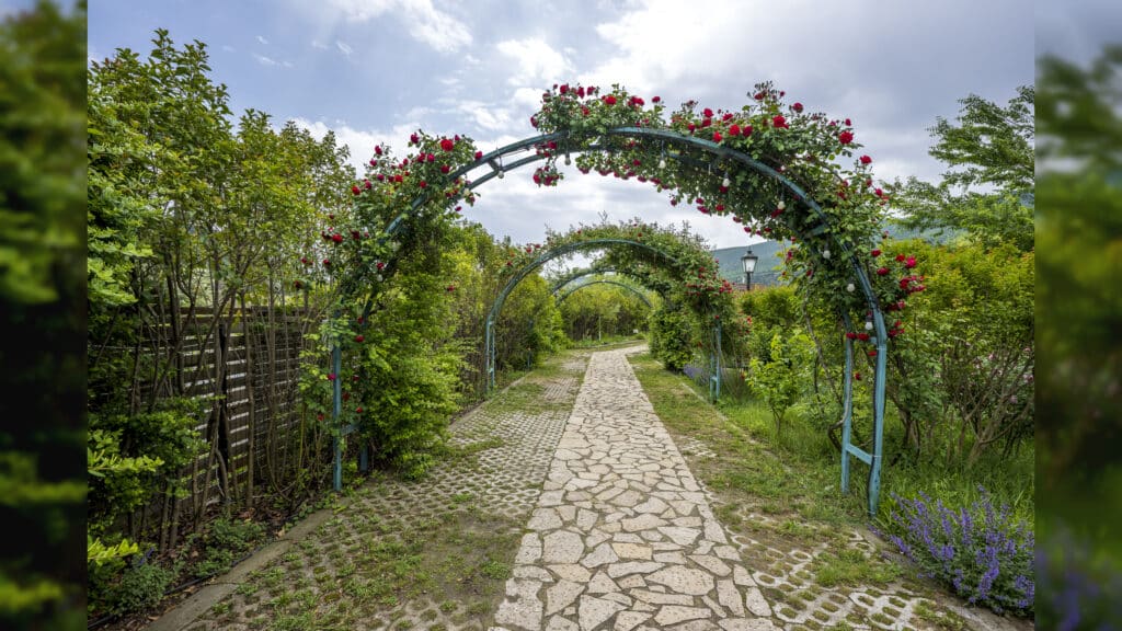 נופש כשר ומושלם בגאורגיה – עם 10% הנחה לשבוע הבא בלבד!