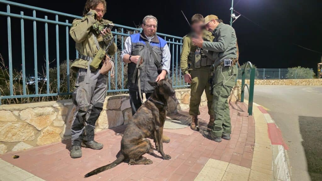 דימו אויב בשטח סבוך: תרגיל המילוט בצה"ל עם כלבני יכ"ל