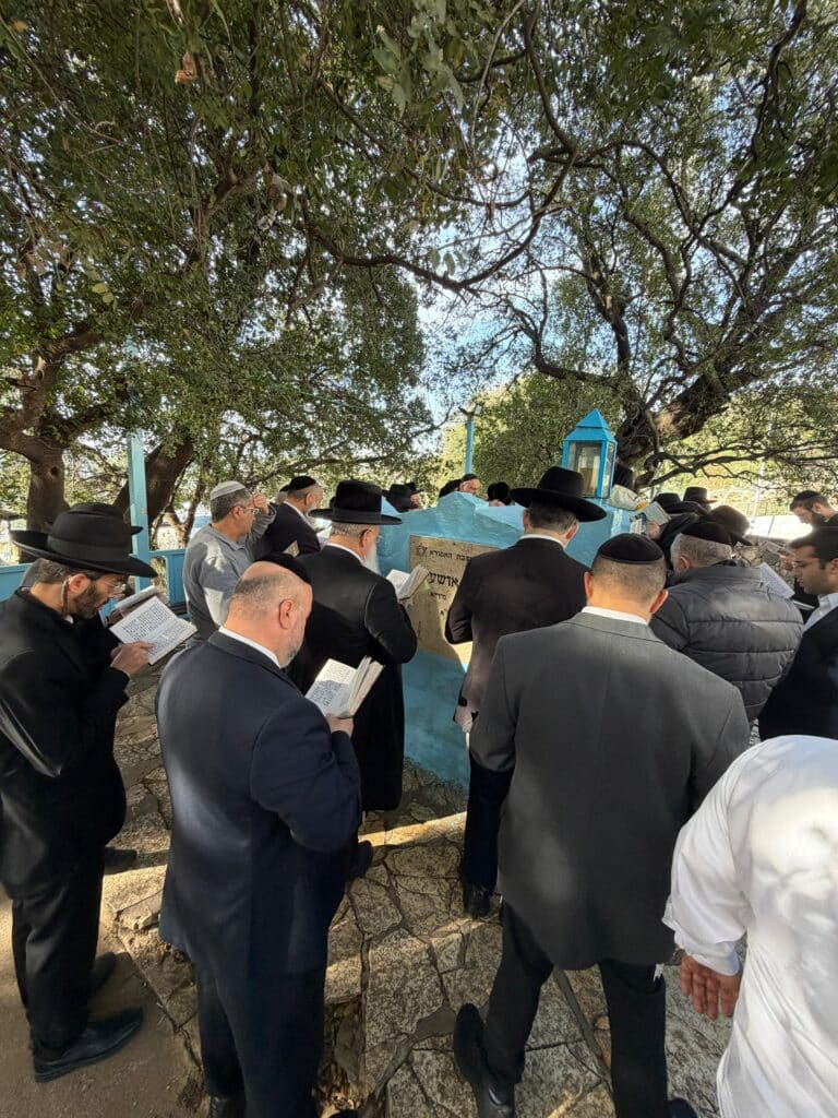 גלריה: רב העיר אלעד הקדיש את היום לתפילה על תושבי העיר גלריה: רב העיר אלעד הקדיש את היום לתפילה על תושבי העיר