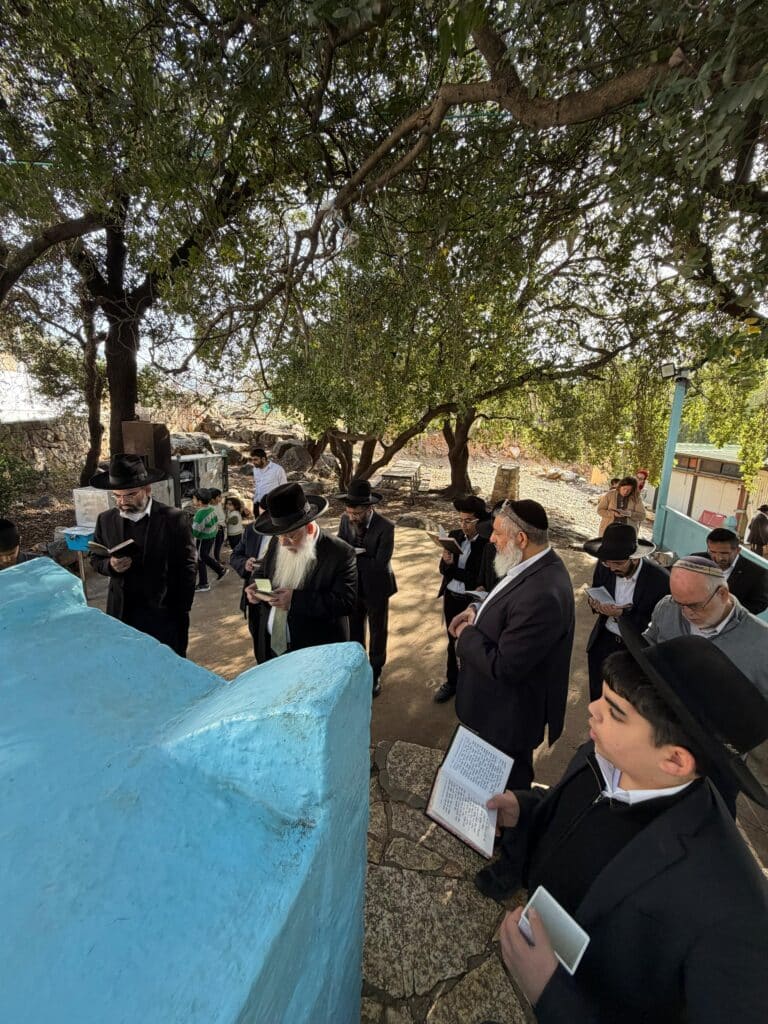 גלריה: רב העיר אלעד הקדיש את היום לתפילה על תושבי העיר גלריה: רב העיר אלעד הקדיש את היום לתפילה על תושבי העיר