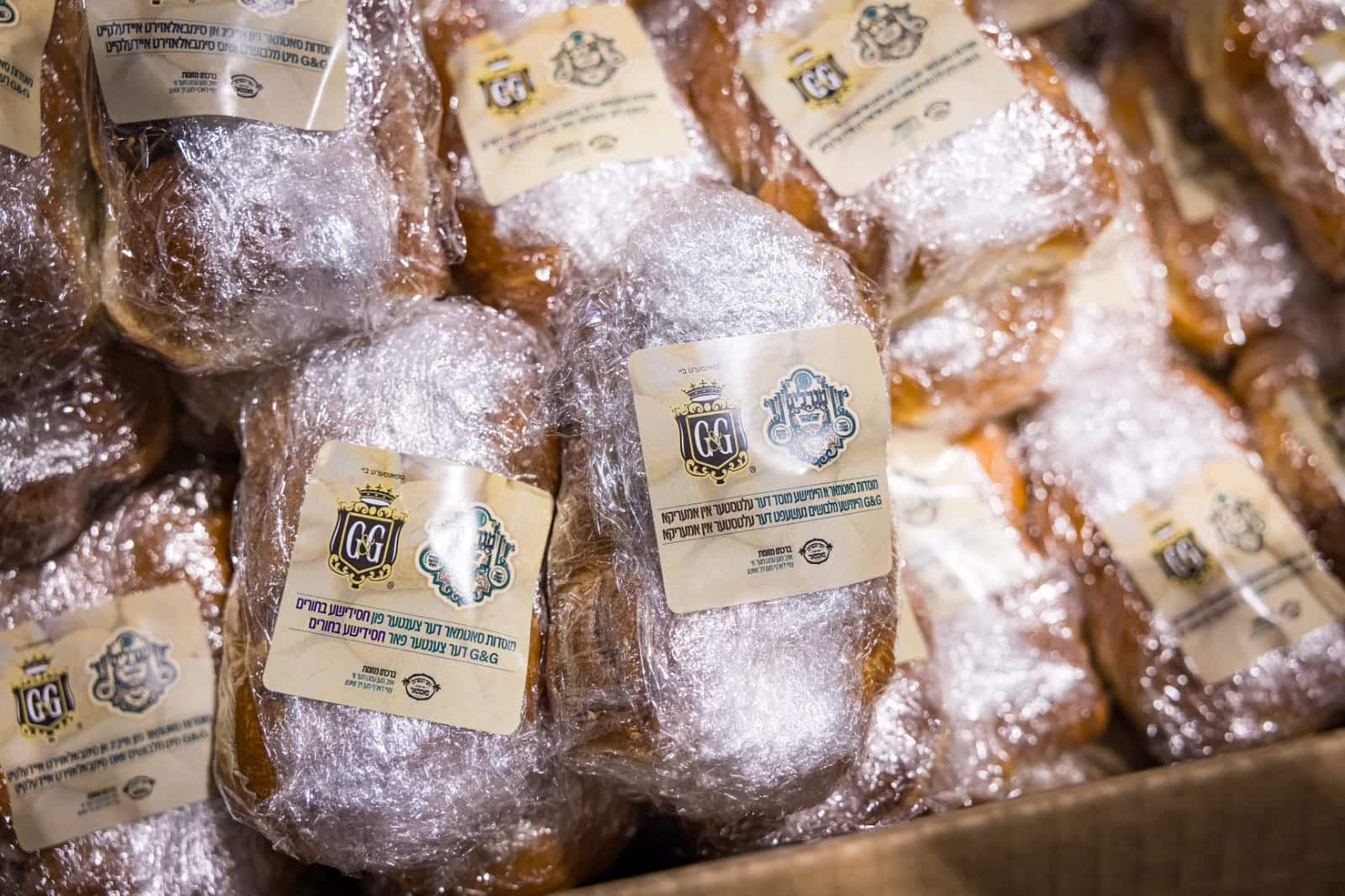 בראשות האדמו"ר: אלפי חסידי סאטמר חגגו את יום ההצלה בראשות האדמו"ר: אלפי חסידי סאטמר חגגו את יום ההצלה