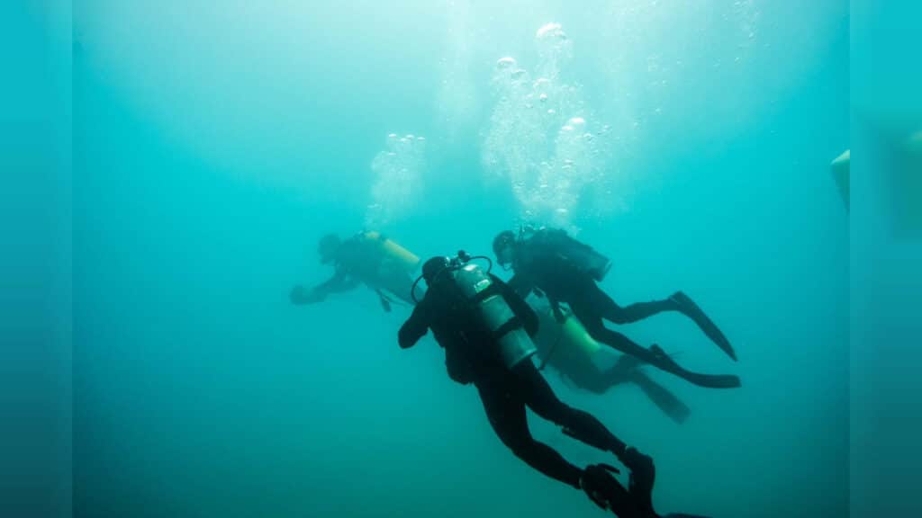 חיל הים תרגלו עם צבא ארה"ב בלב ים התיכון: צפו בתיעודים חיל הים תרגלו עם צבא ארה"ב בלב ים התיכון: צפו בתיעודים
