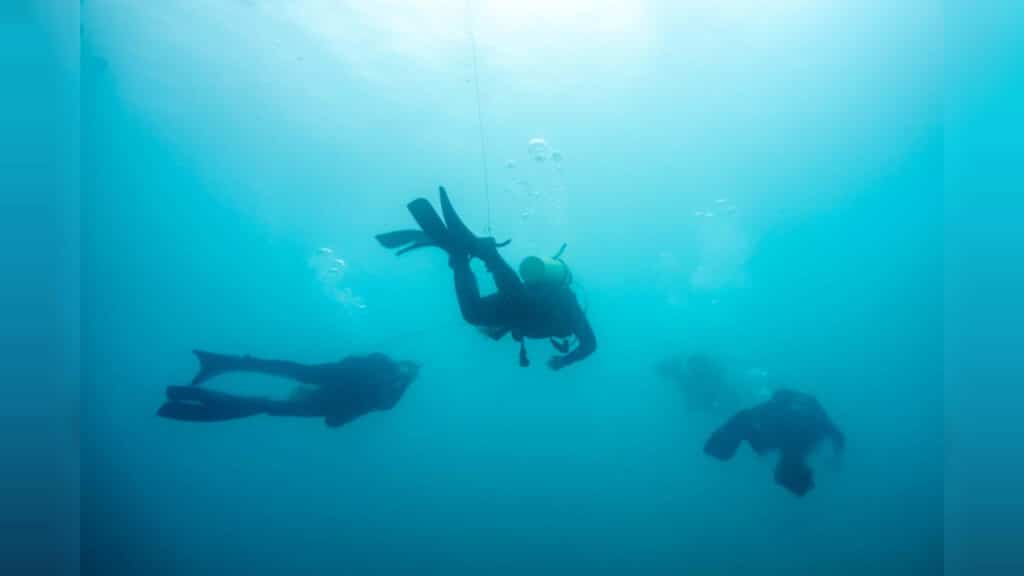 חיל הים תרגלו עם צבא ארה"ב בלב ים התיכון: צפו בתיעודים חיל הים תרגלו עם צבא ארה"ב בלב ים התיכון: צפו בתיעודים